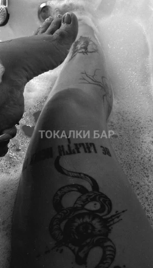 Проститутка  E V A