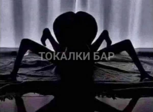 Проститутка  София