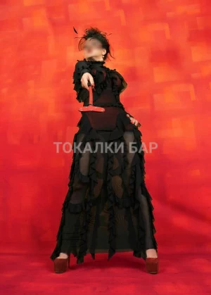 Проститутка  Aktiv Dominant