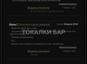Проститутка  Дана на выезд