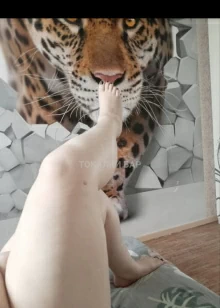 Госпожа Луна