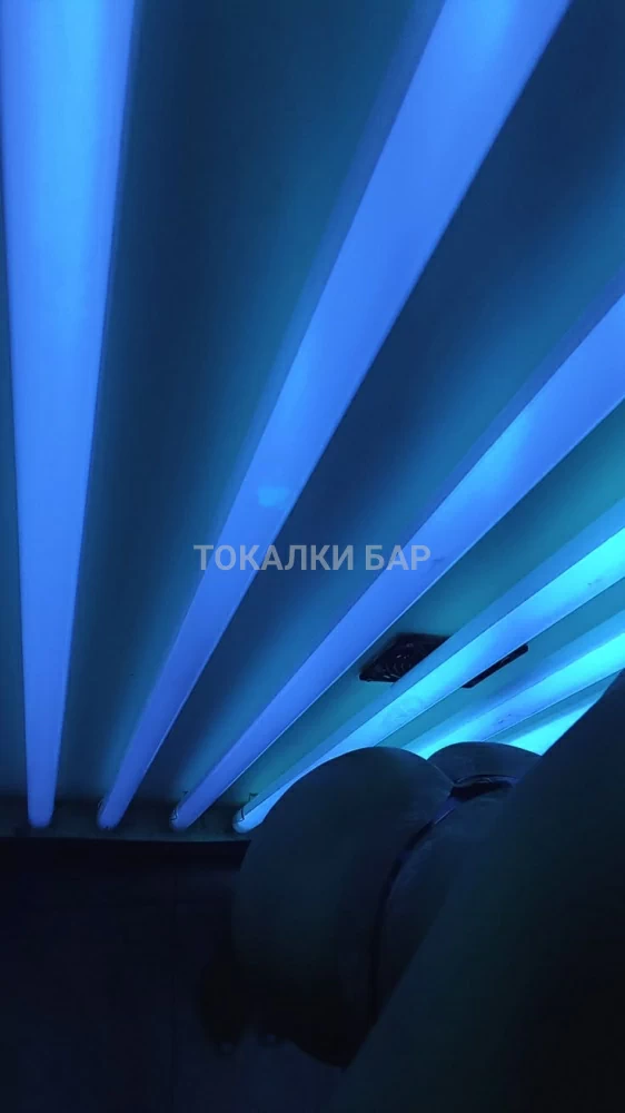 Дана